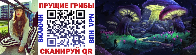 Псилоцибиновые грибы MAGIC MUSHROOMS  Купить где  Шали 