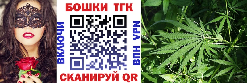 Конопля OG Kush  Купить где  Шали 